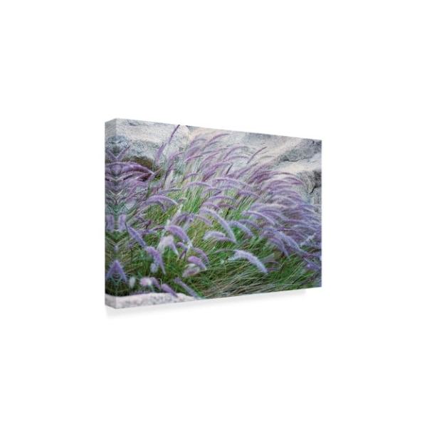 Janice Sullivan 'Purple Wild Grass Ii' Canvas Art,16x24